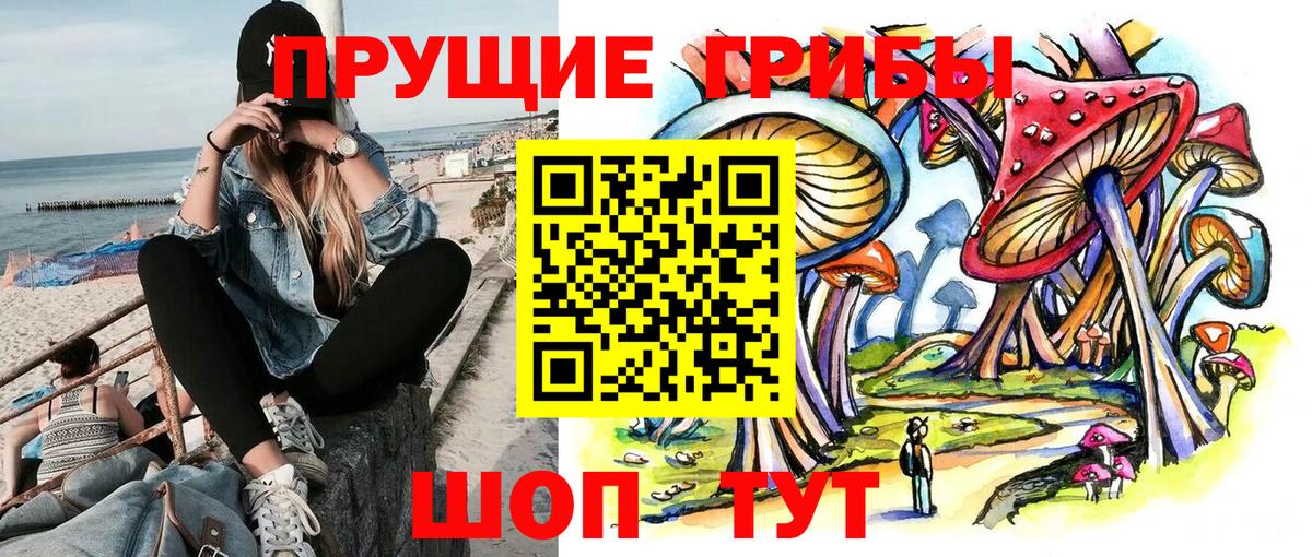 Псилоцибиновые грибы Psilocybine cubensis  Вход с VPN  Сегежа 