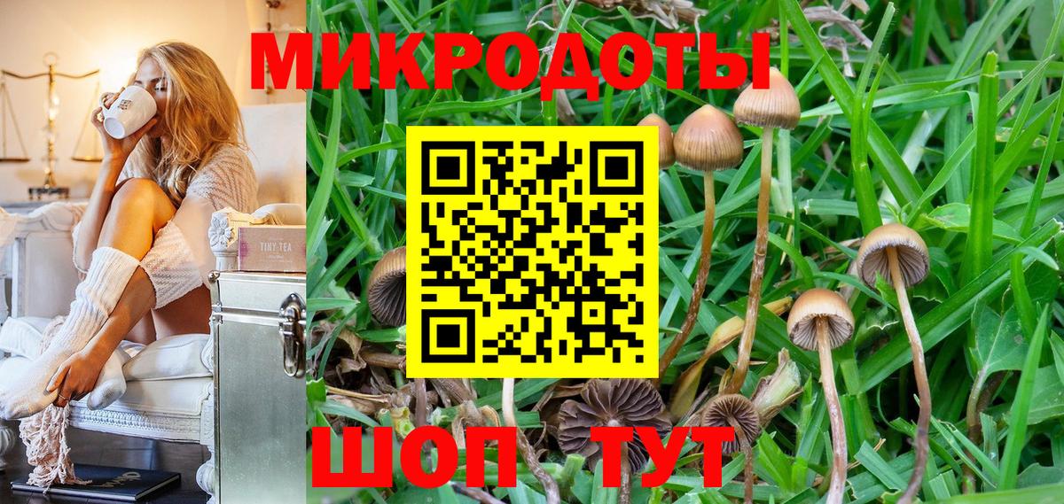 Галлюциногенные грибы мухоморы Сегежа